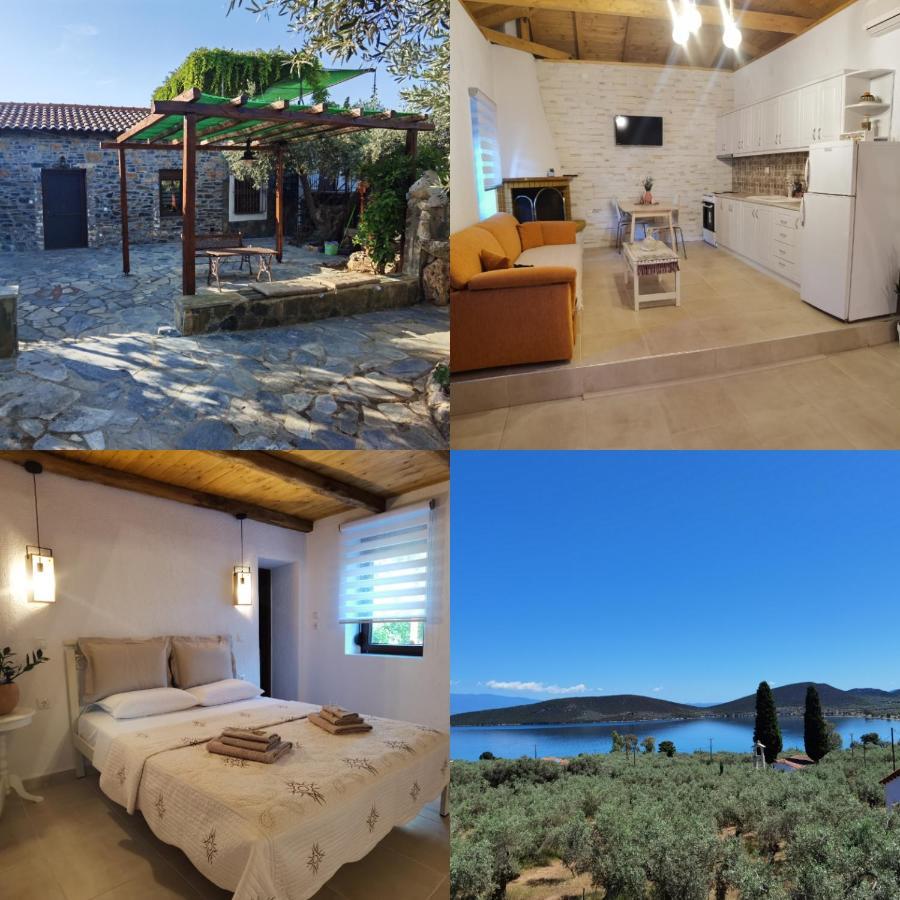 Elaion Thea-Nies Villa Sourpi Exterior photo